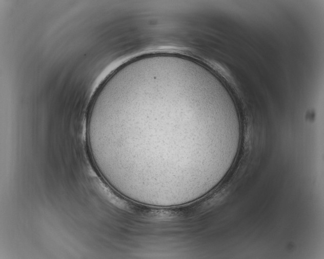 X0000114601420200911161343