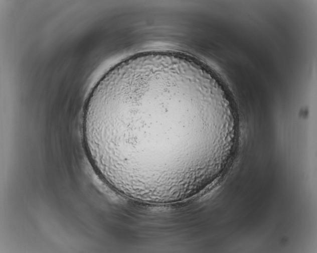 X0000114601421200911161343