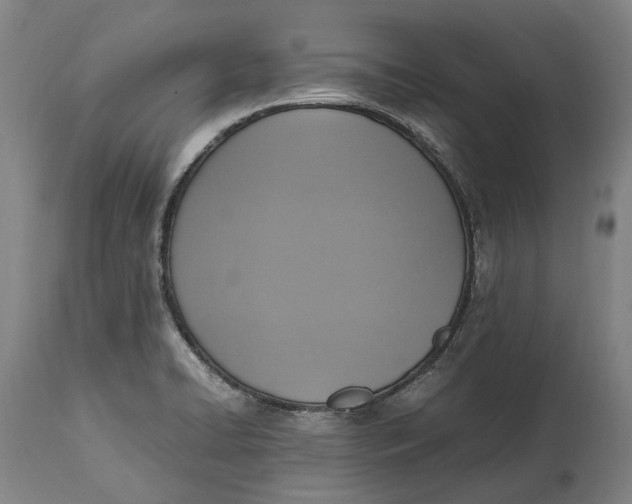 X0000114601422200911161343