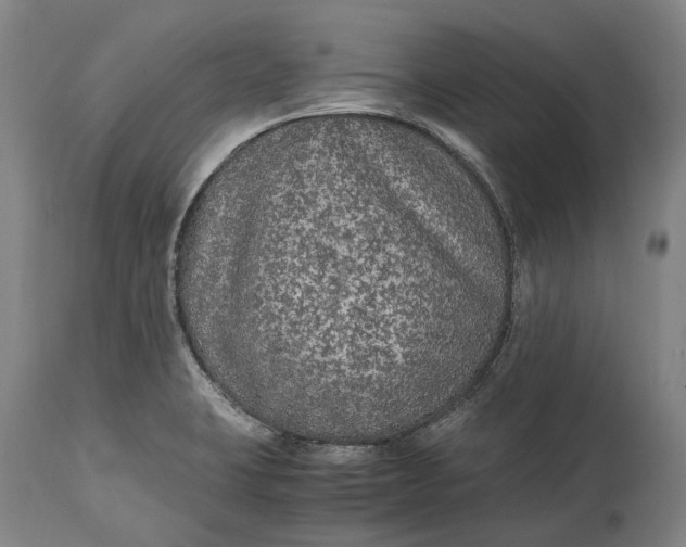 X0000114601423200911161343