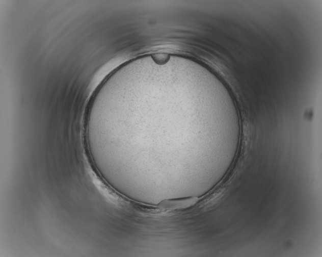 X0000114601426200911161344