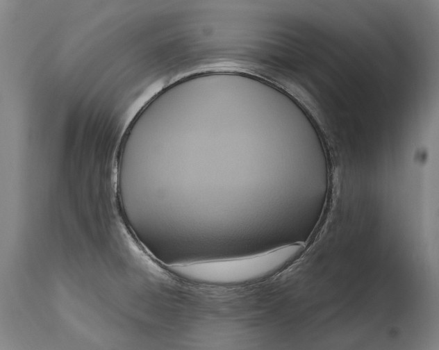 X0000114601428200911161344