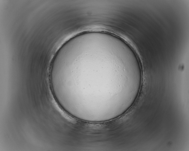 X0000114601429200911161344