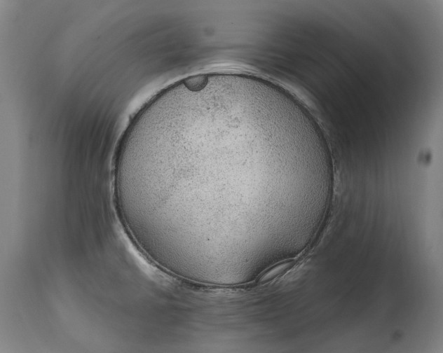 X0000114601430200911161344