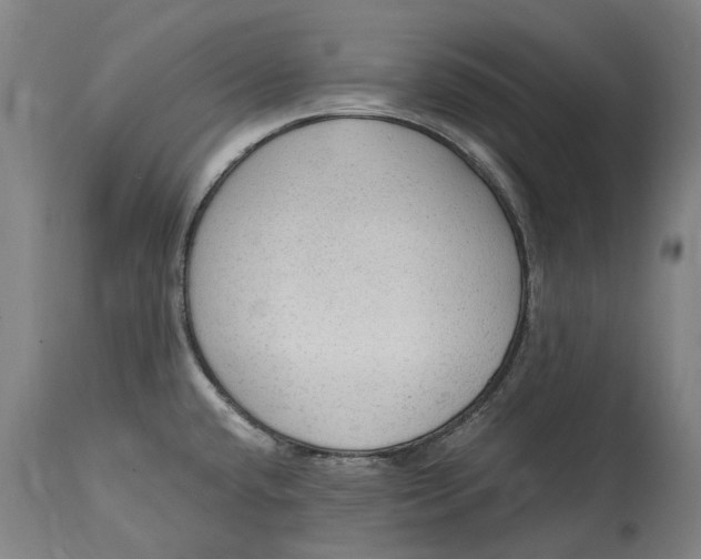 X0000114601432200911161344