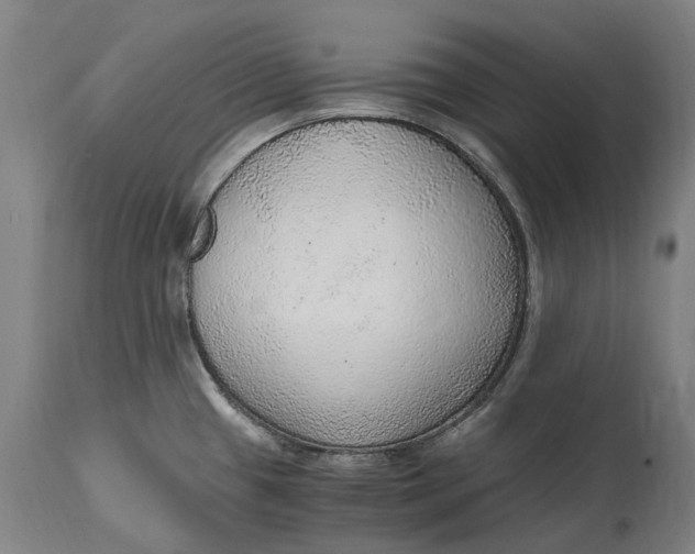 X0000114601433200911161344