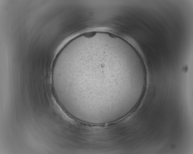 X0000114601436200911161344