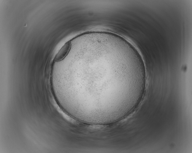 X0000114601437200911161344