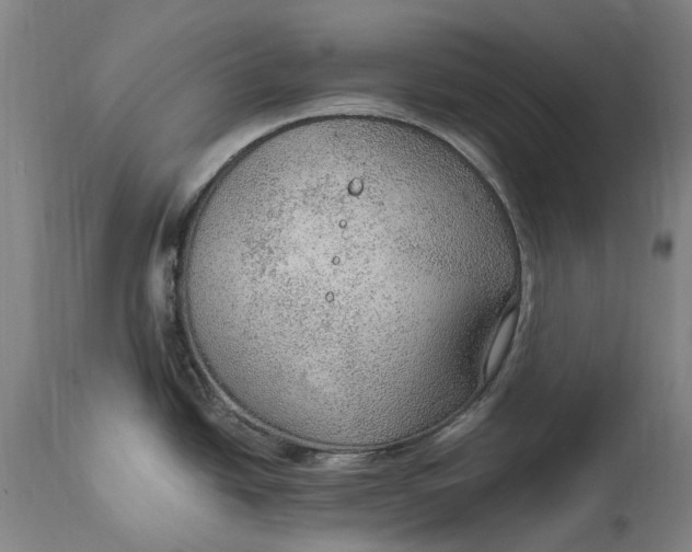 X0000114601438200911161344