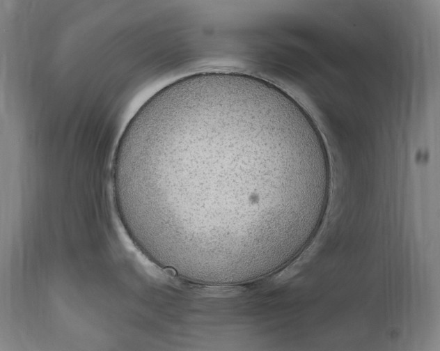 X0000114601440200911161344