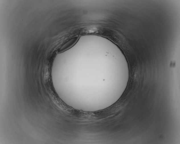 X0000114601442200911161343