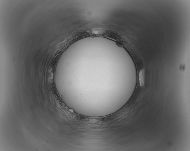 X0000114601443200911161343