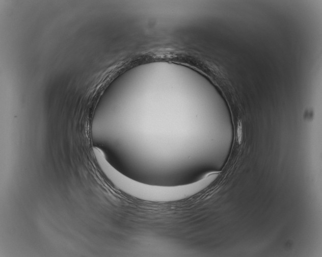 X0000114601444200911161343