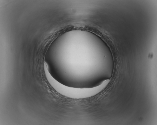 X0000114601445200911161343