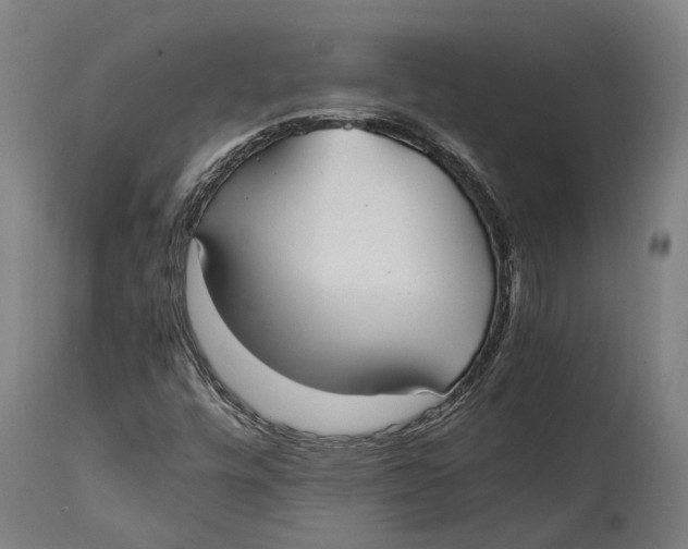 X0000114601448200911161343