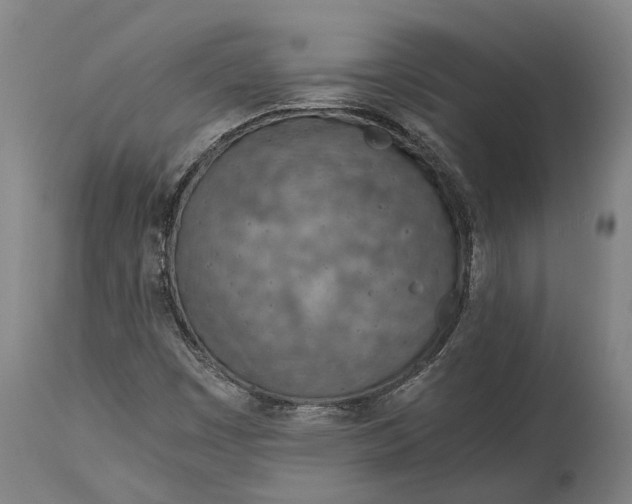 X0000114601449200911161343