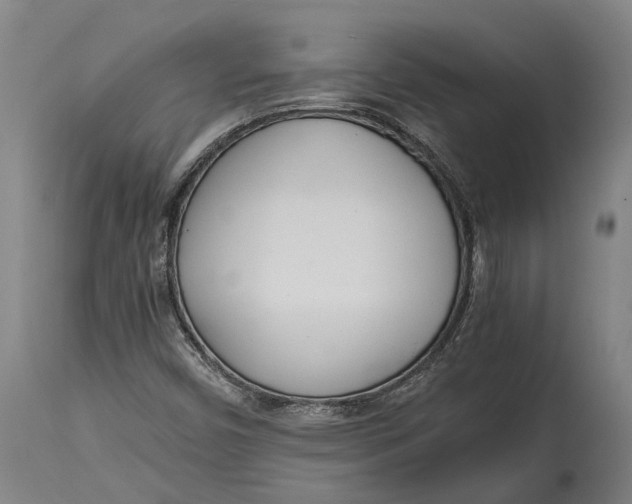 X0000114601450200911161343