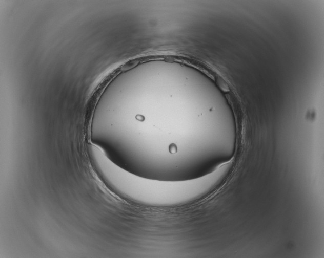 X0000114601452200911161343