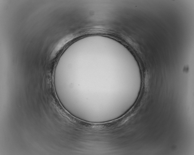 X0000114601453200911161343