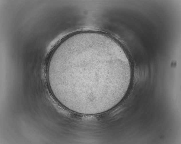 X0000114601454200911161343