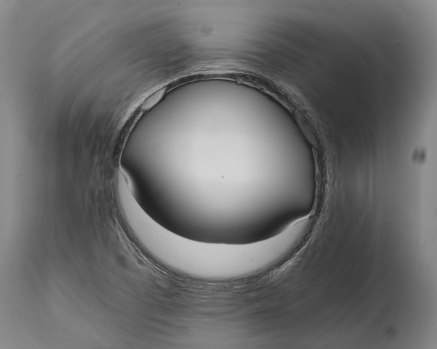 X0000114601457200911161343