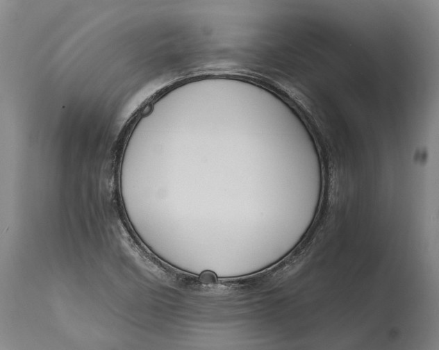 X0000114601458200911161343