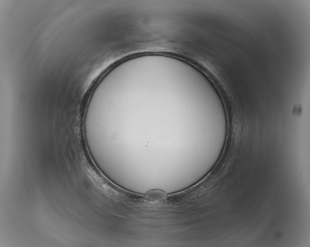 X0000114601460200911161343