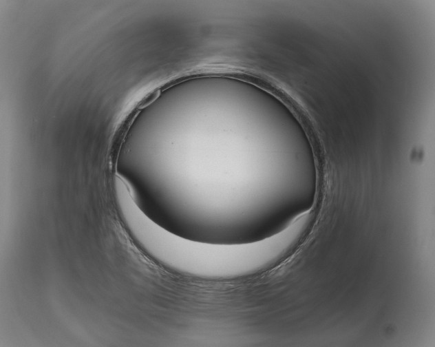 X0000114601461200911161343