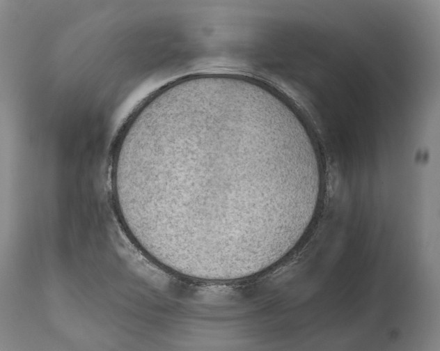 X0000114601462200911161343