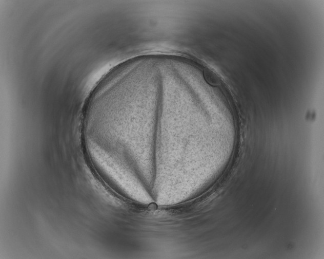 X0000114601463200911161343