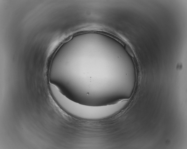 X0000114601464200911161343