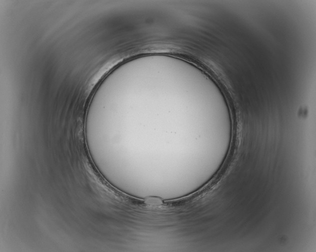 X0000114601465200911161343