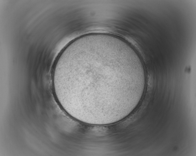 X0000114601466200911161343