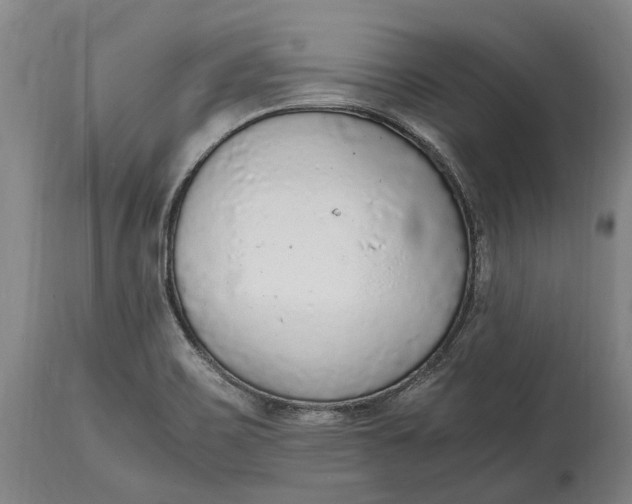 X0000114601467200911161343