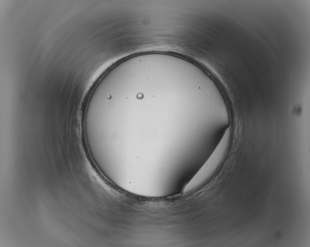 X0000114601468200911161343