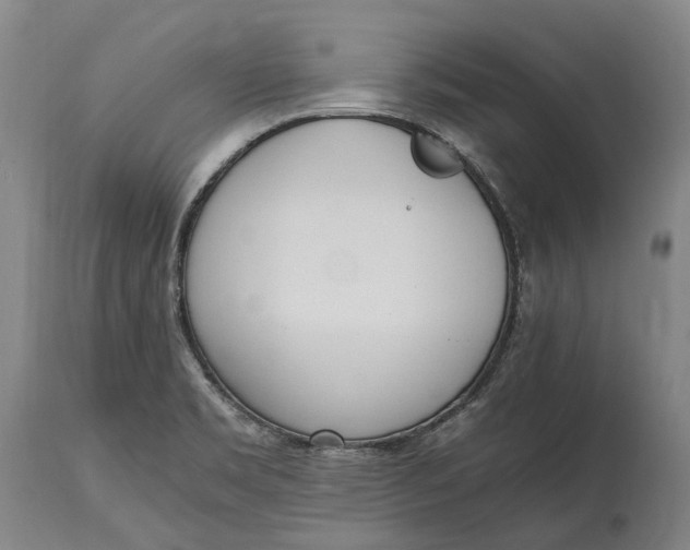 X0000114601469200911161343