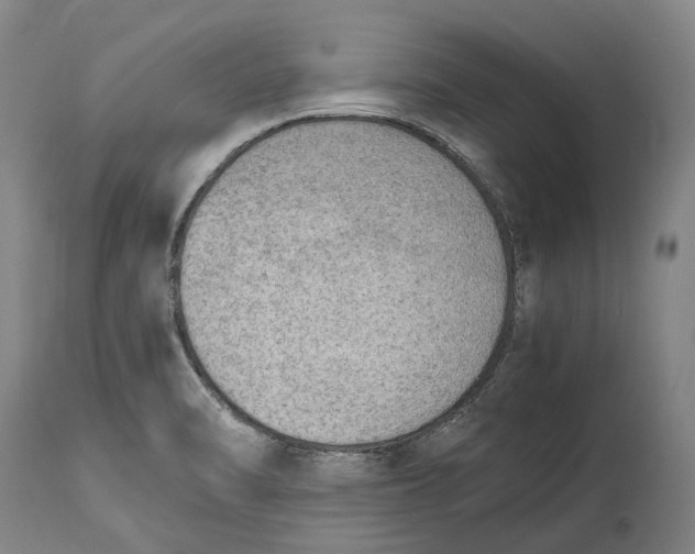 X0000114601470200911161343