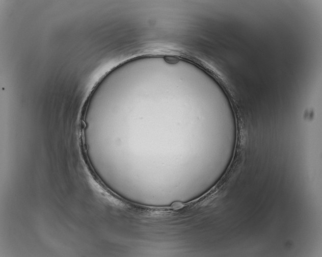 X0000114601471200911161343