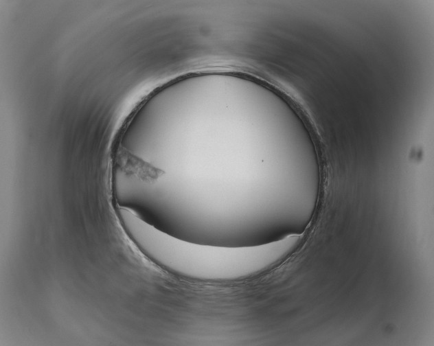 X0000114601472200911161343