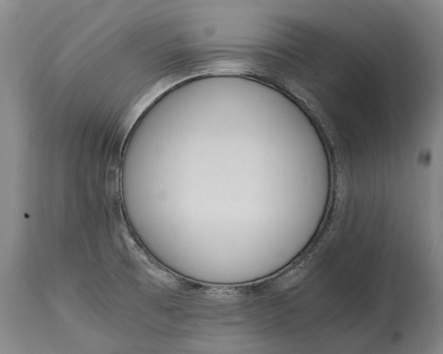 X0000114601473200911161343