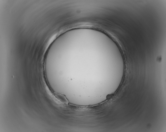 X0000114601475200911161343