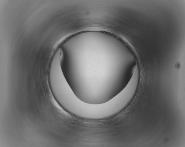 X0000114601476200911161343