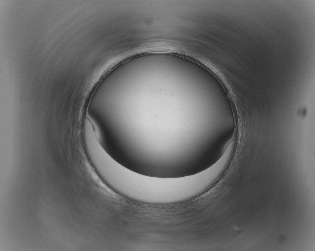 X0000114601477200911161343