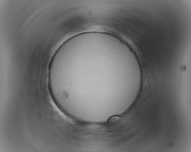 X0000114601479200911161343