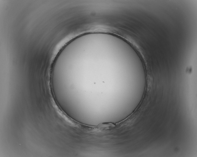 X0000114601480200911161343