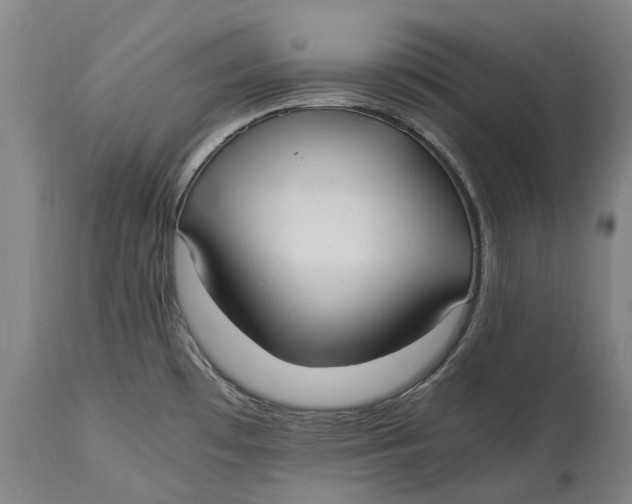 X0000114601481200911161343