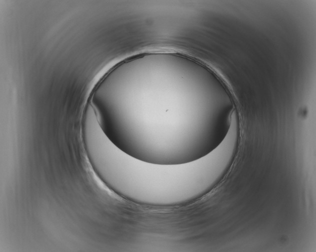 X0000114601484200911161342