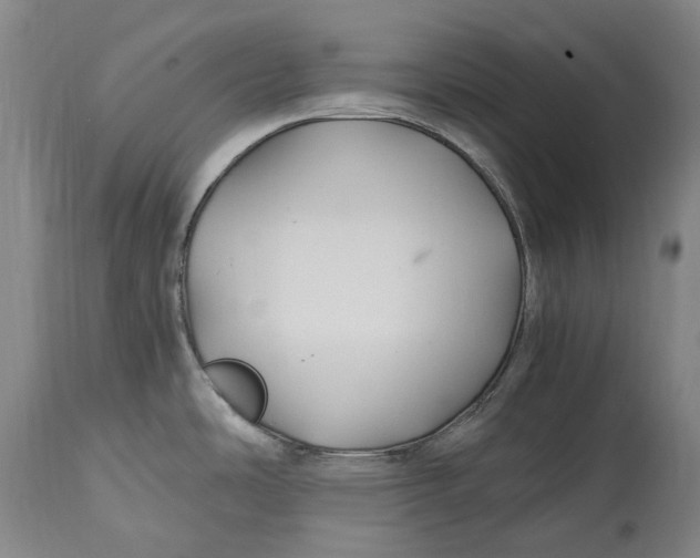 X0000114601486200911161342