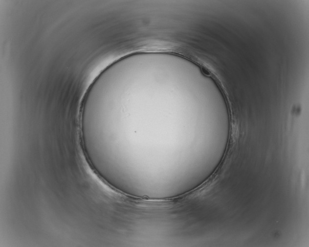 X0000114601487200911161342