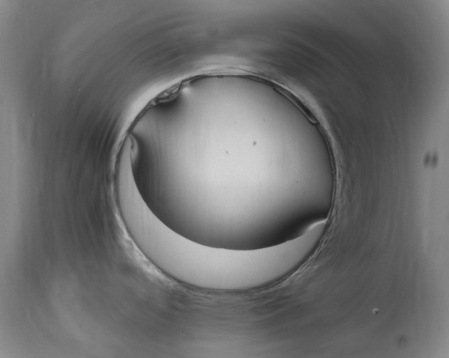 X0000114601488200911161342